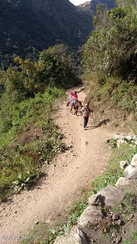 Photo Album: Salcantay