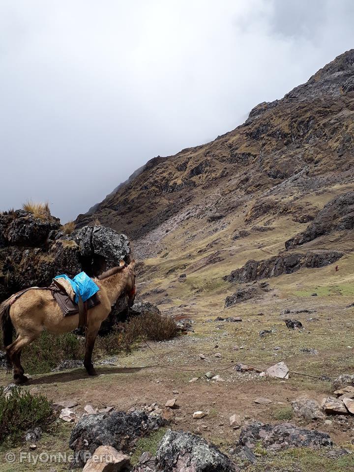 Photo Album: Salcantay