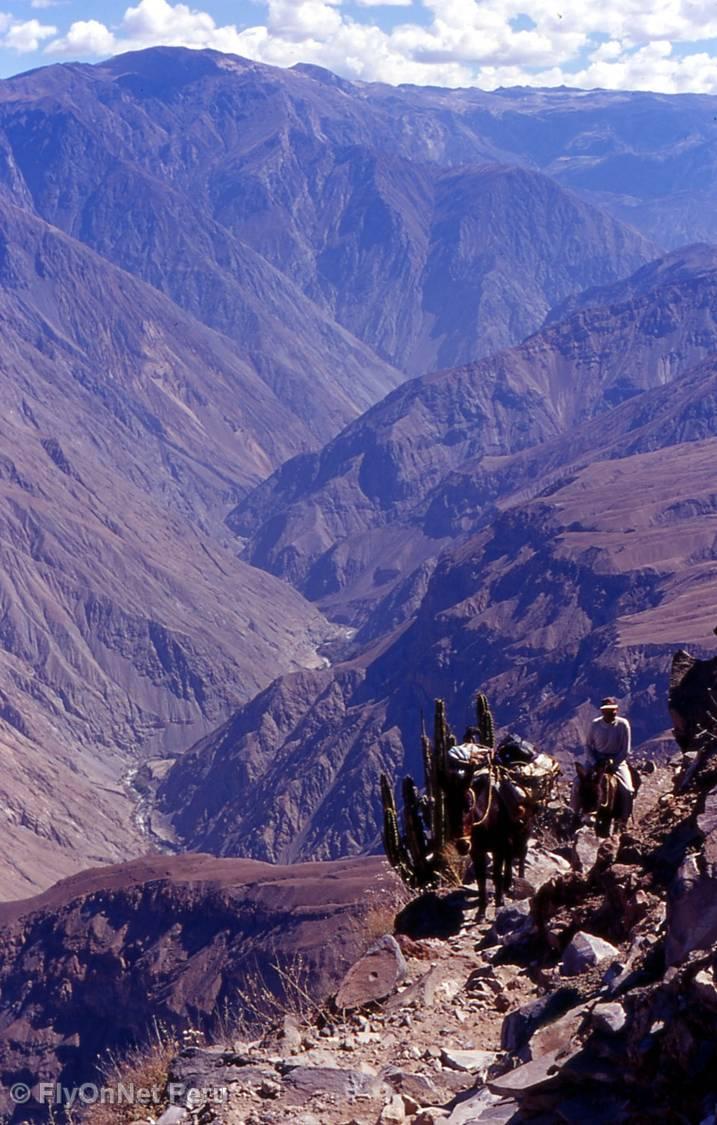 Photo Album: Inca Trail