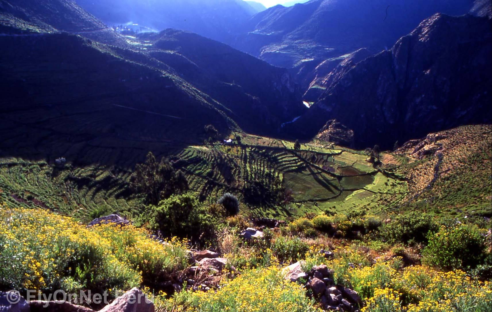 Photo Album: Inca Trail