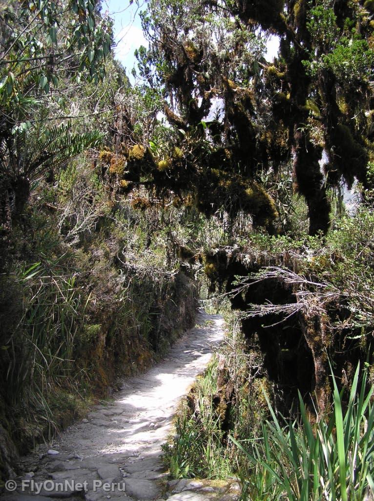 Photo Album: Inca Trail