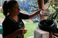 Visit to the coffee plantation